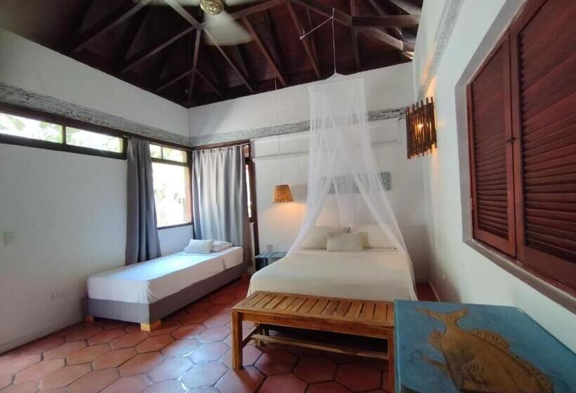 ジュニアスイート, Rosario Eco