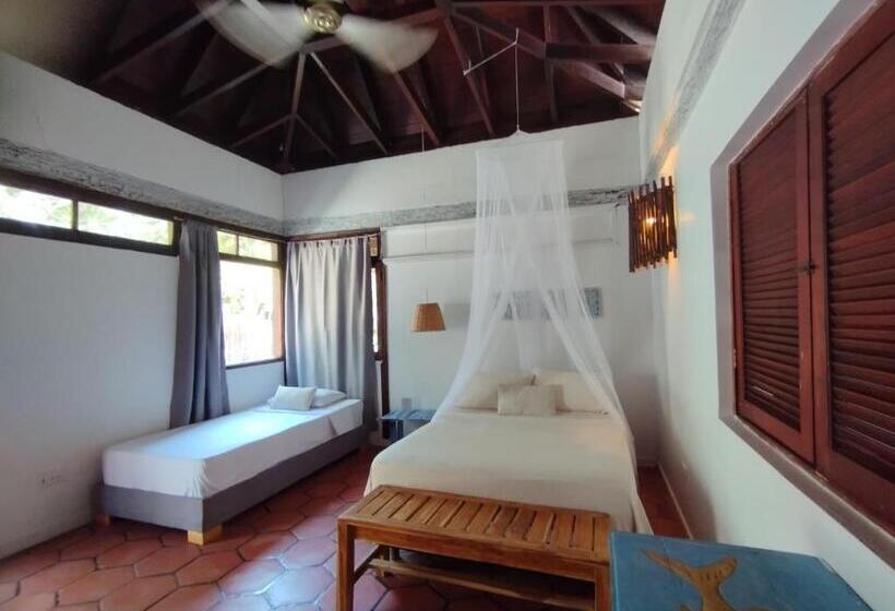 ジュニアスイート, Rosario Eco