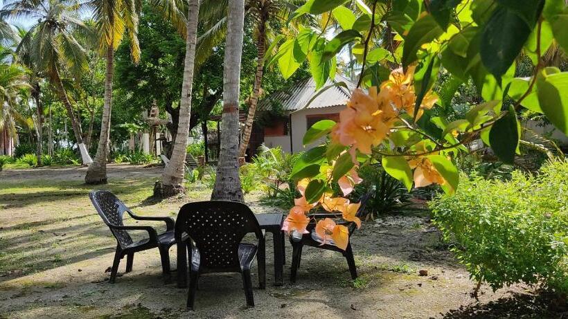 ルームシェアのワンベッド, Rosario Eco