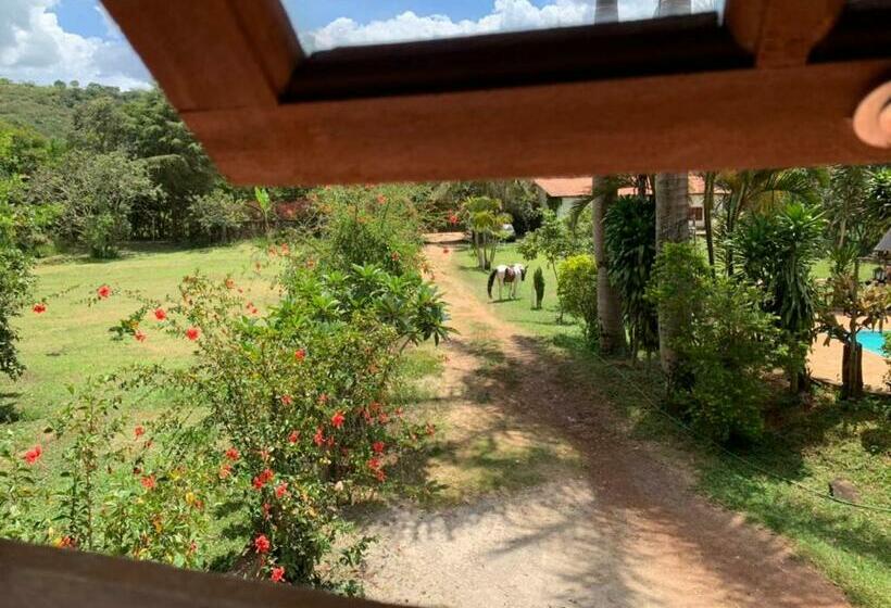 スタンダードルーム, Espaço João Mineiro