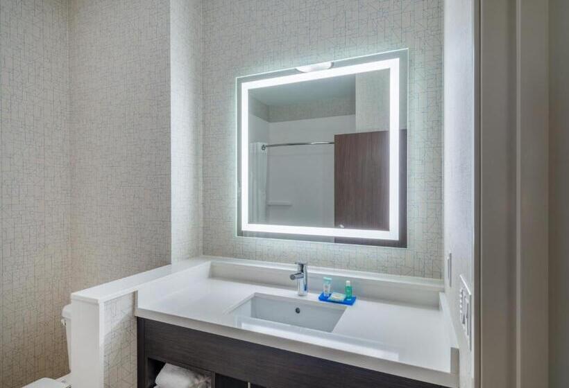 اتاق استاندارد با تخت بزرگ برای معلولان, Holiday Inn Express & Suites   Watertown, An Ihg