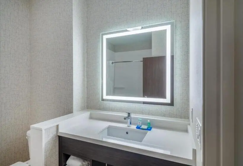اتاق استاندارد با تخت بزرگ برای معلولان, Holiday Inn Express & Suites   Watertown, An Ihg