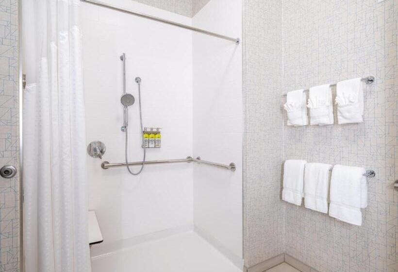 غرفة قياسية سرير كينج لذوى الإحتياجات الخاصة, Holiday Inn Express & Suites   Watertown, An Ihg