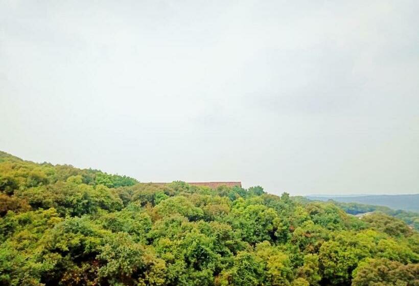 Семейный Номер Deluxe, Mayuri Cottage