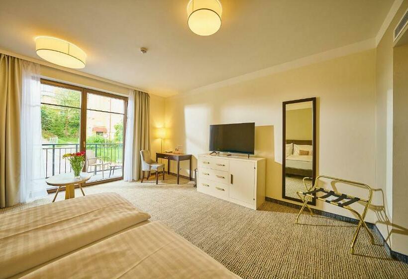 豪华房间, Wellness Hotel Queens