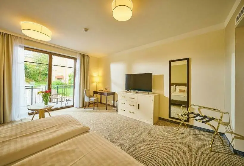 デラックスルーム, Wellness Hotel Queens