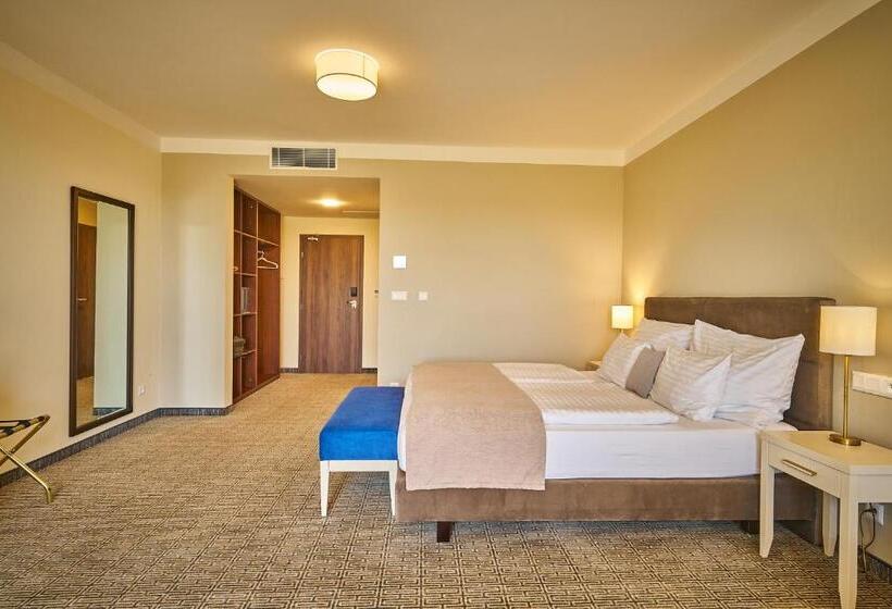 小型套房, Wellness Hotel Queens