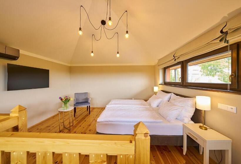 شقة ديلوكس غرفة نوم واحدة, Wellness Hotel Queens