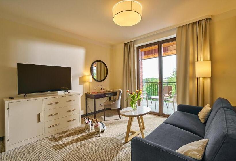 جناح مزود بتراس, Wellness Hotel Queens