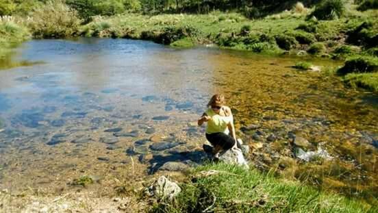 バルコニー付きスタンダードステューディオ, Cabañas El Recodo De Potrero
