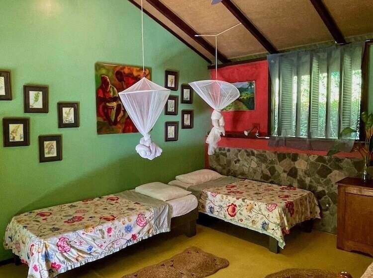 اتاق خانوادگی, Cocoa Cottage