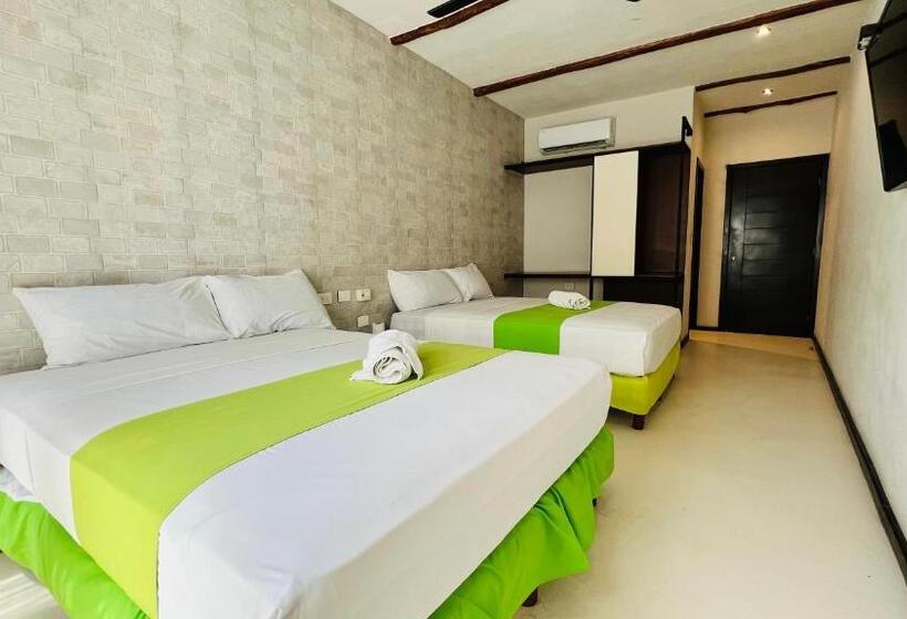 غرفة قياسية, Mayari Holbox