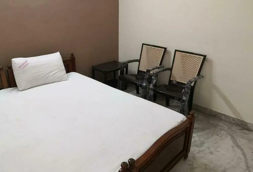 エコノミーシングルルーム, Sridhar Lodge