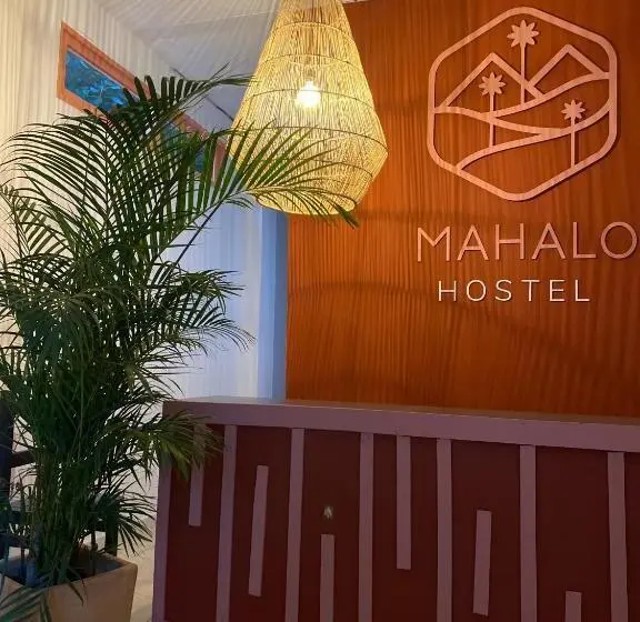 スタンダードルーム, Mahalo Hostel