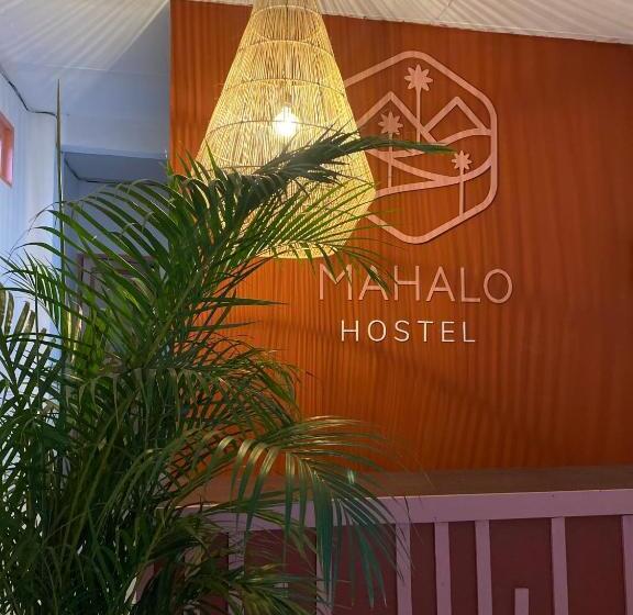 Deluxe Suite, Mahalo Hostel