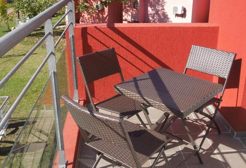 شقة غرفة واحدة, 5 Soles Chajari