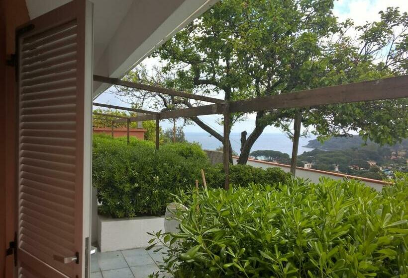 海の見えるスタンダードスタジオ, Elba Residence