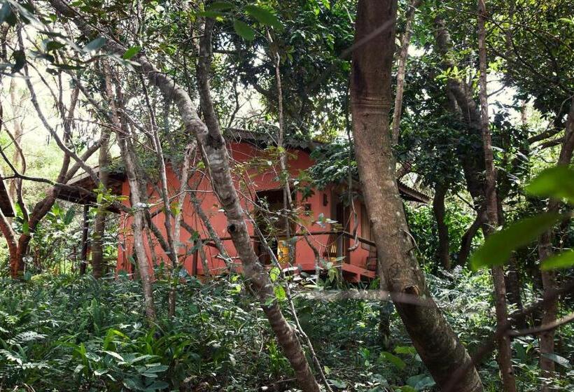 בקתת סופריור בת חדר 1, Vila Esperança