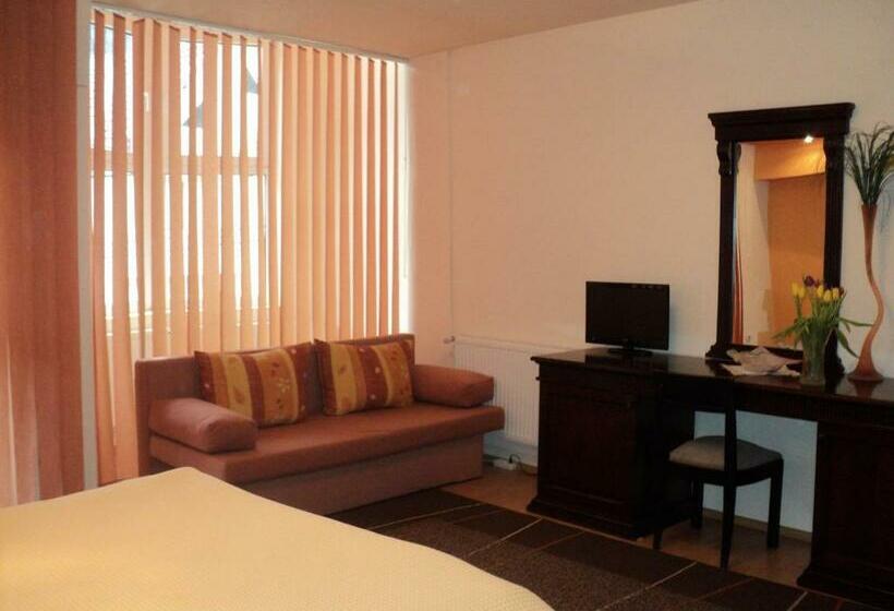 패밀리 룸, Pensiunea Irina