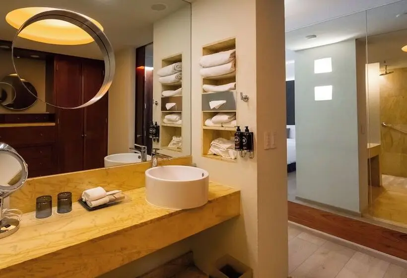 スーペリアールーム, Barceló Monterrey Valle