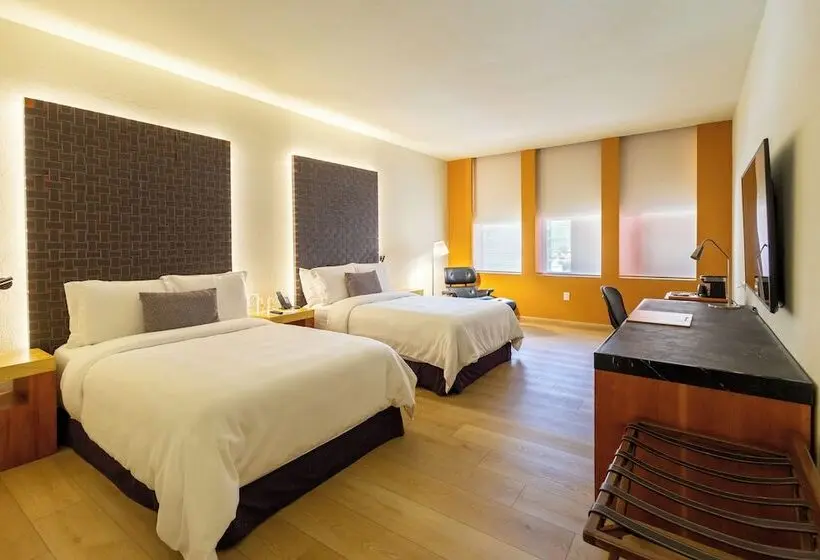 スーペリアールーム, Barceló Monterrey Valle