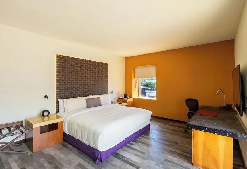 プレミアムジュニアスイート, Barceló Monterrey Valle