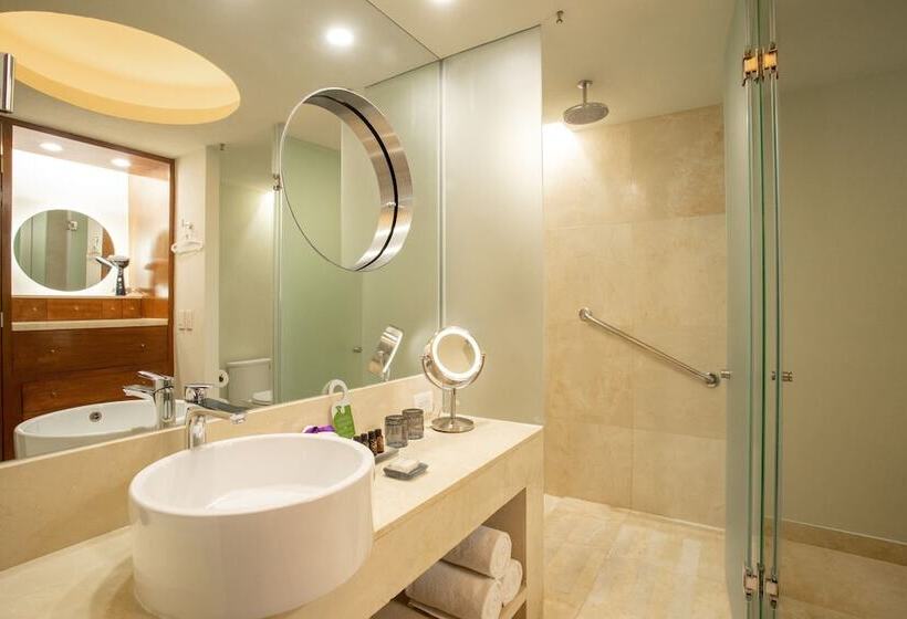 Номер Deluxe, Camino Real Monterrey