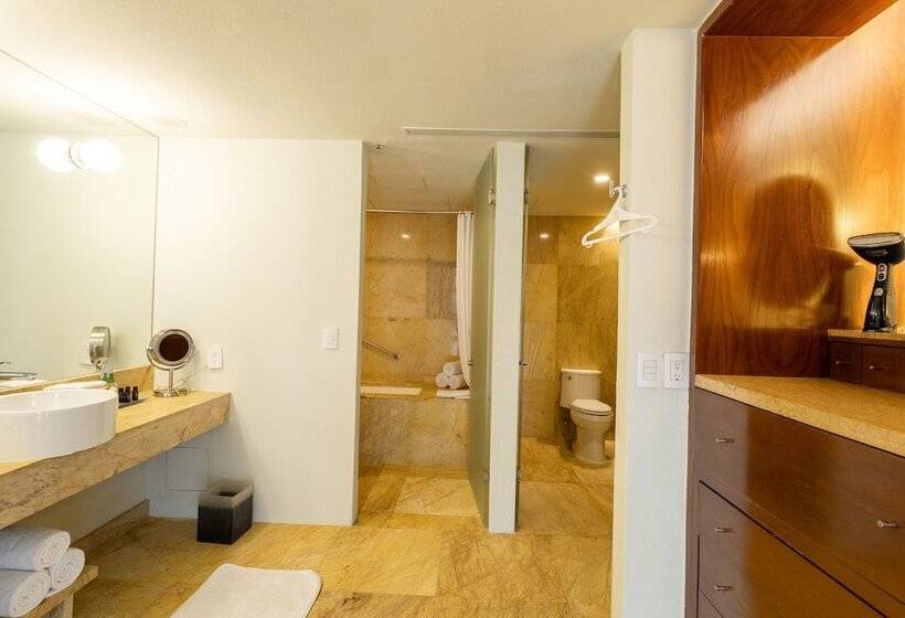 Люкс, Camino Real Monterrey