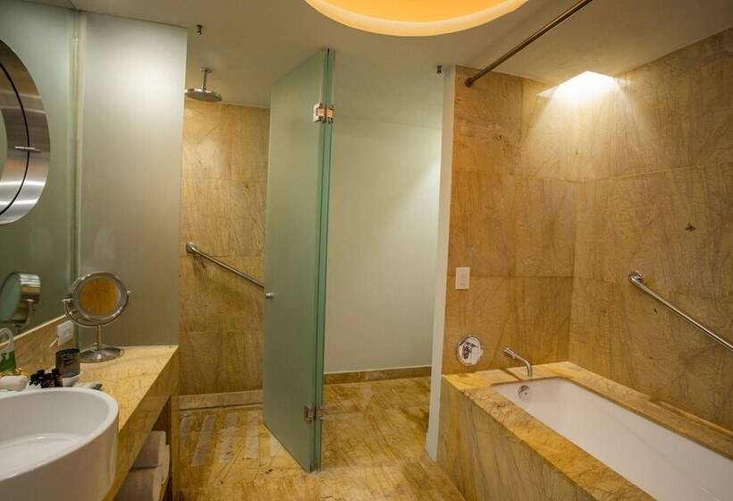 Полулюкс, Camino Real Monterrey