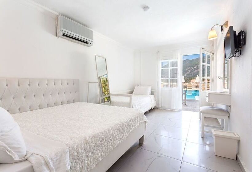 스탠다드 트리플 룸, Club çapa