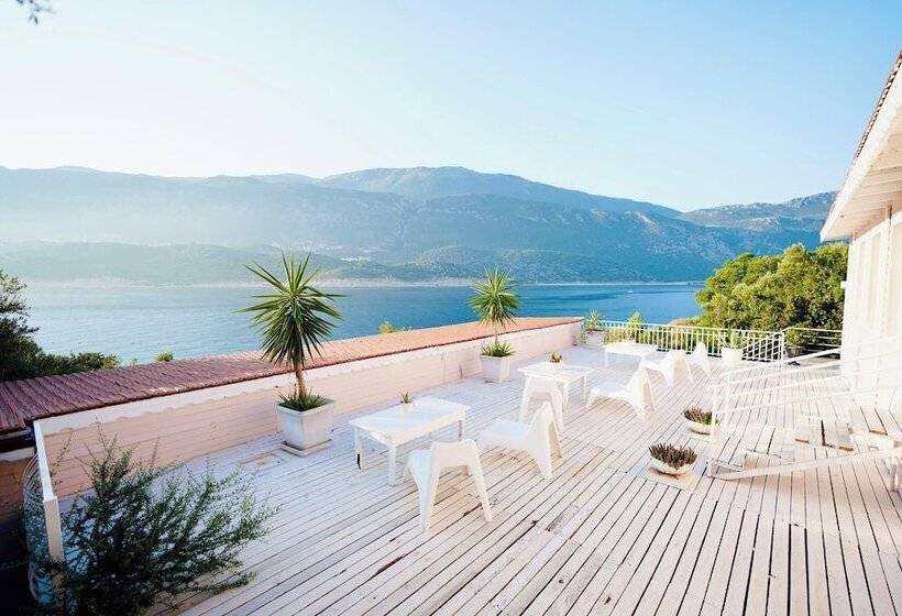 Номер Стандарт, Club çapa