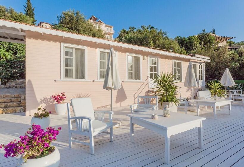 스탠다드 룸, Club çapa