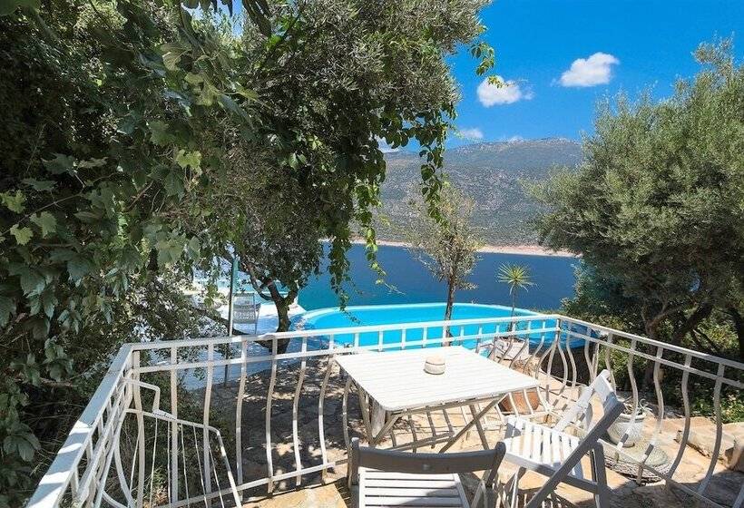 스탠다드 룸, Club çapa