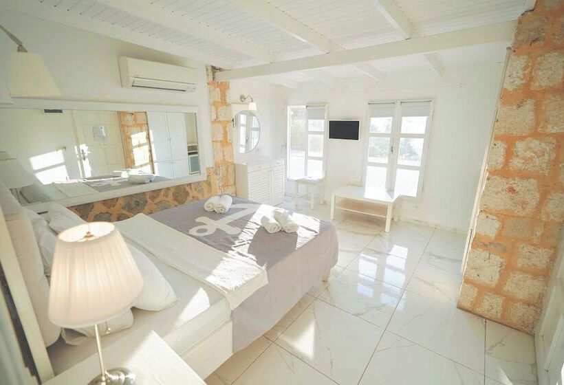 스탠다드 룸, Club çapa