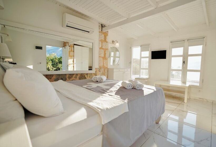 스탠다드 룸, Club çapa