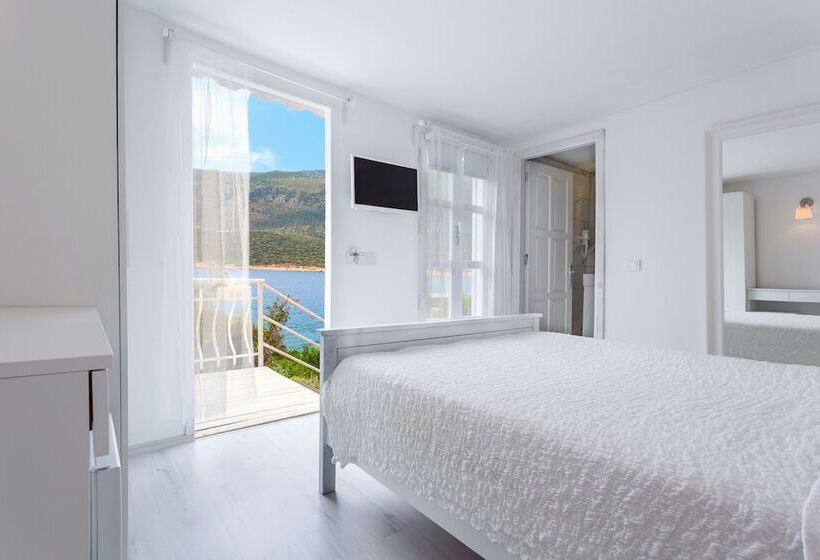 스탠다드 룸, Club çapa