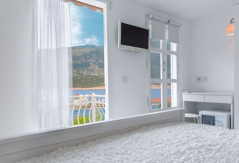 스탠다드 룸, Club çapa