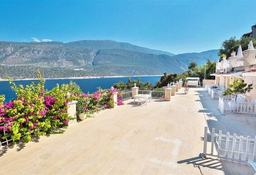 패밀리 룸, Club çapa