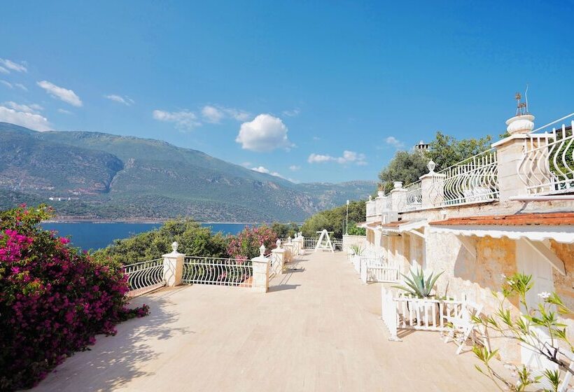 패밀리 룸, Club çapa