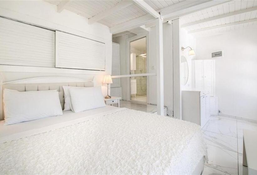 스탠다드 방갈로, Club çapa