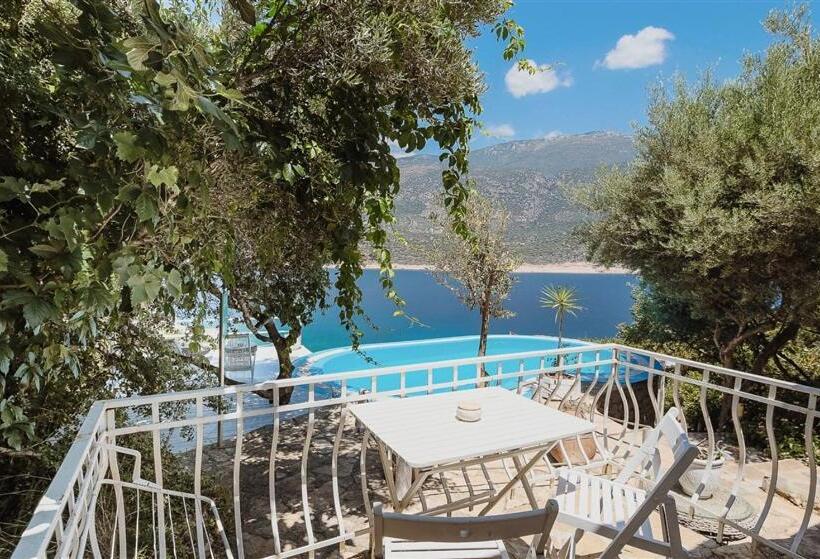 스탠다드 방갈로, Club çapa