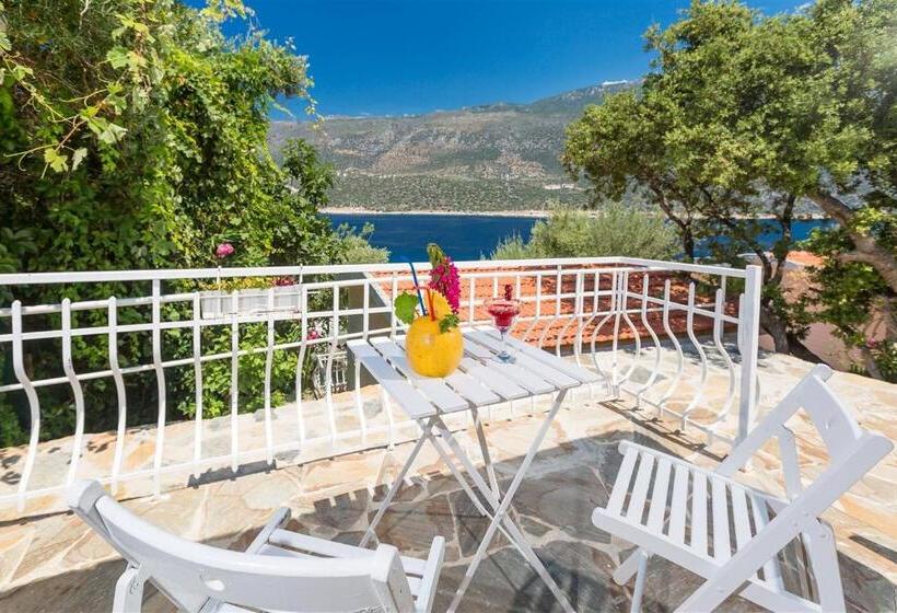 스탠다드 발코니 룸 바다 전망, Club çapa