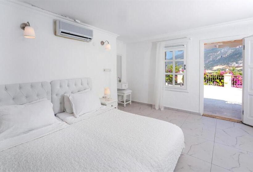 패밀리 룸, Club çapa