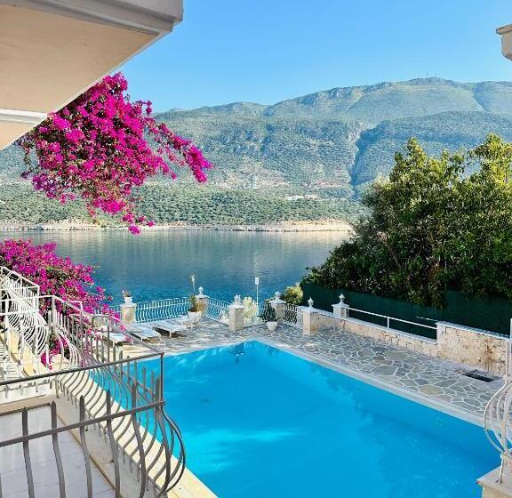 스탠다드 트리플 룸, Club çapa