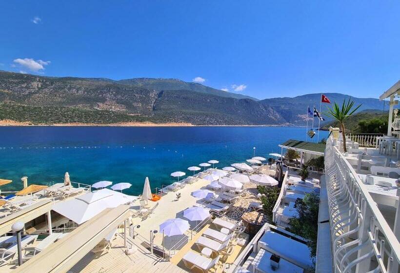 스탠다드 트리플 룸, Club çapa