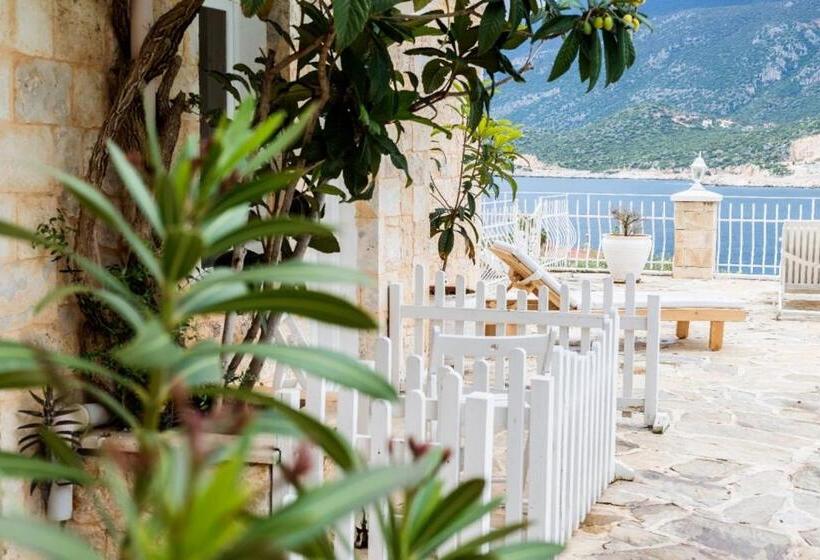 스탠다드 룸, Club çapa