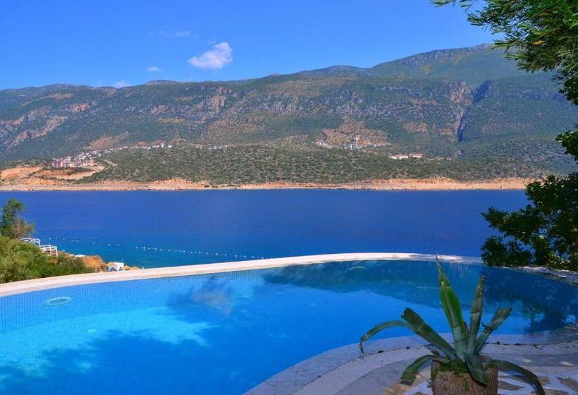 스탠다드 룸, Club çapa