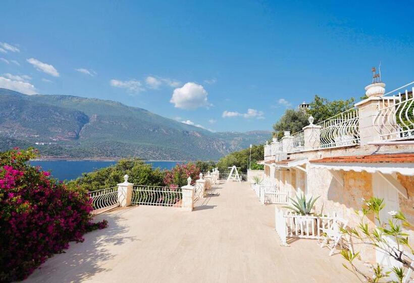 이코노미 룸, Club çapa