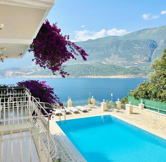 이코노미 룸, Club çapa