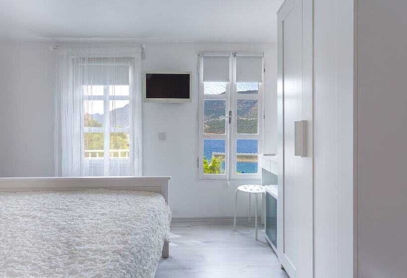 스탠다드 룸, Club çapa